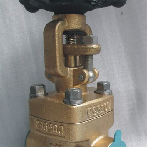 Bronze Globe Valve 