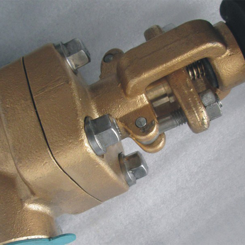 Forged Gate Valve 
